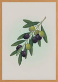 Poster print file