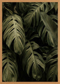 Poster in oak frame