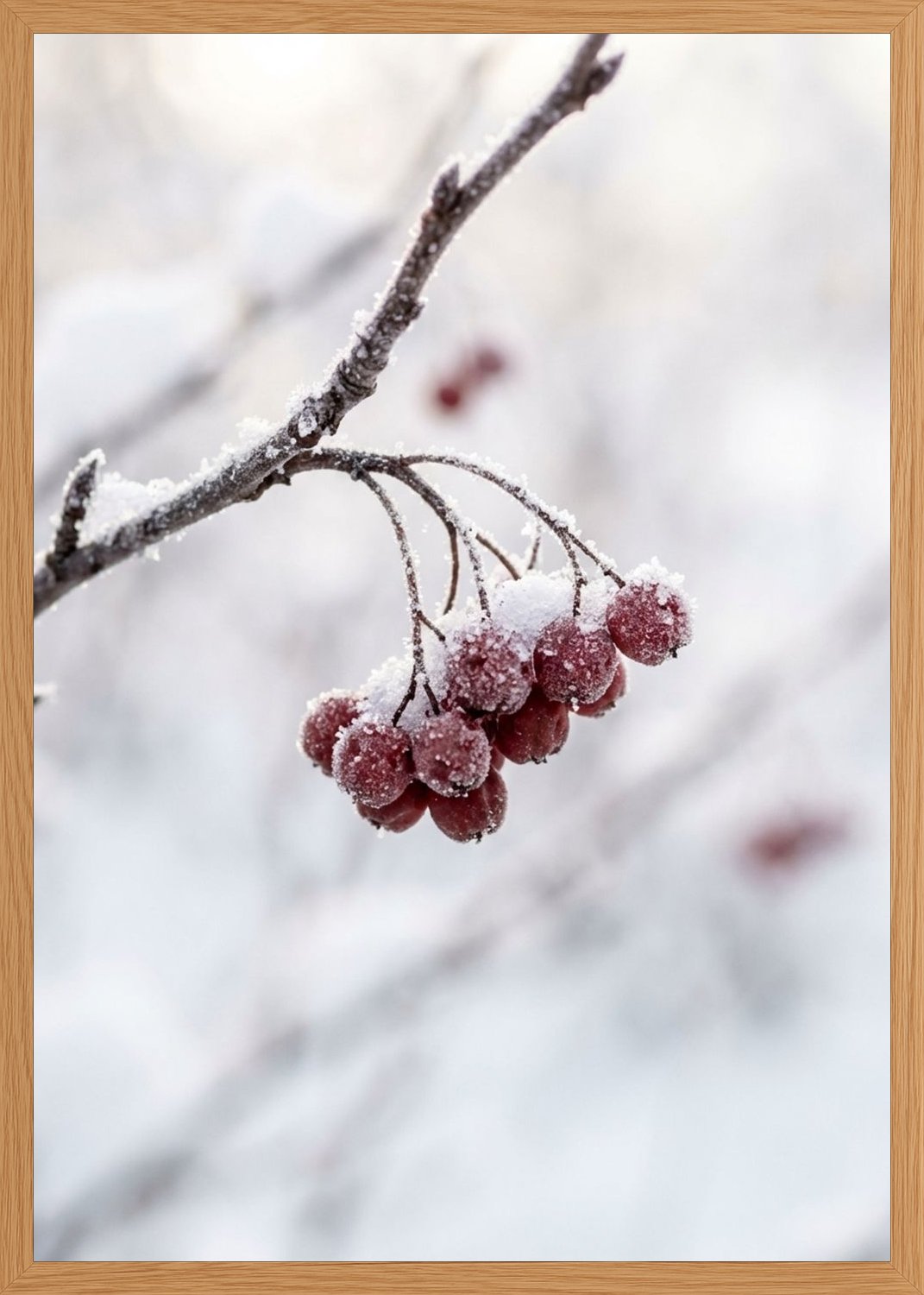 Poster in oak frame