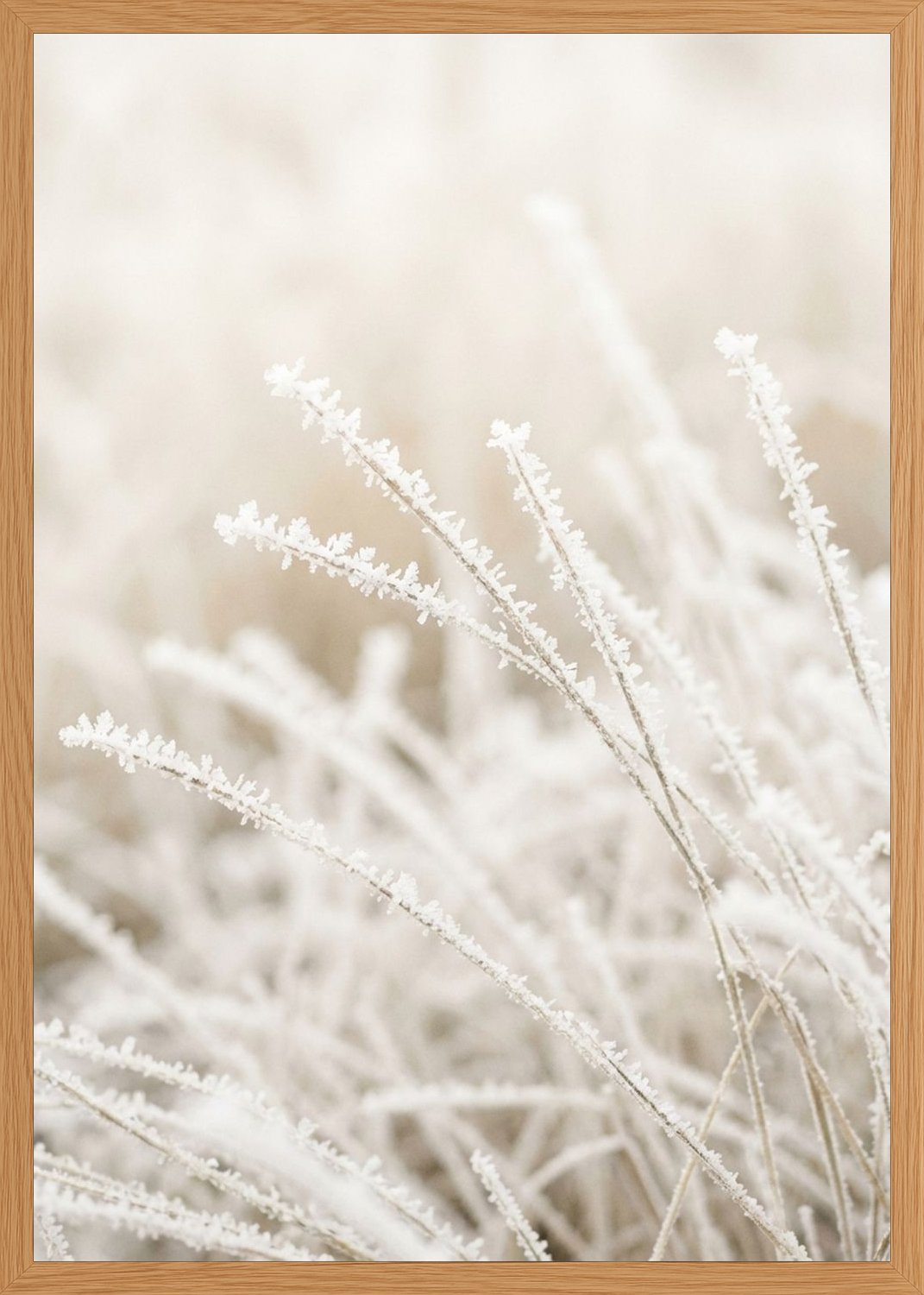 Poster in oak frame