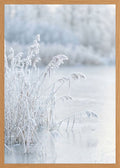 Poster in oak frame