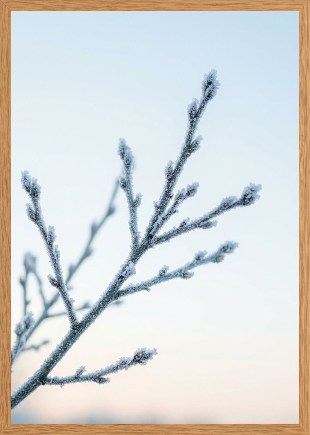 Poster in oak frame