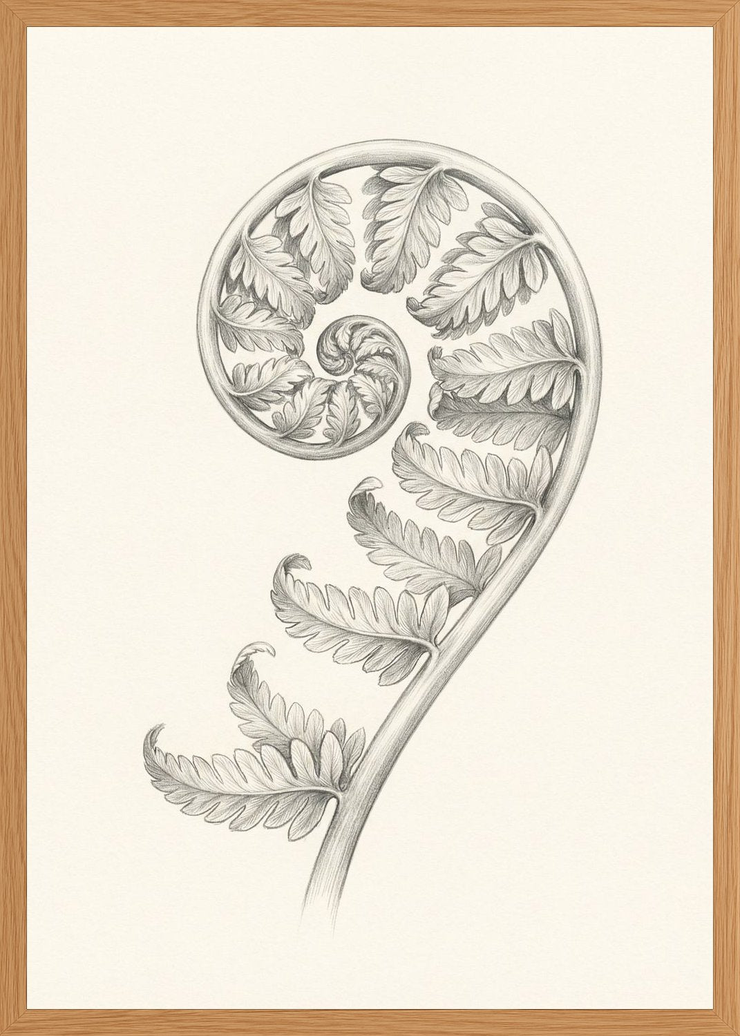 Poster in oak frame