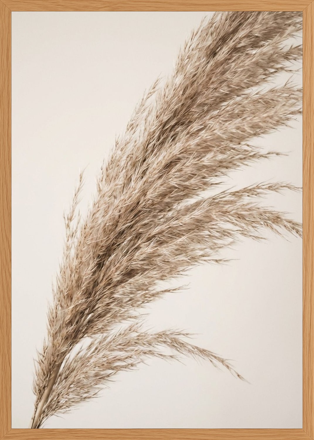 Poster in oak frame