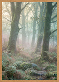 Poster in oak frame