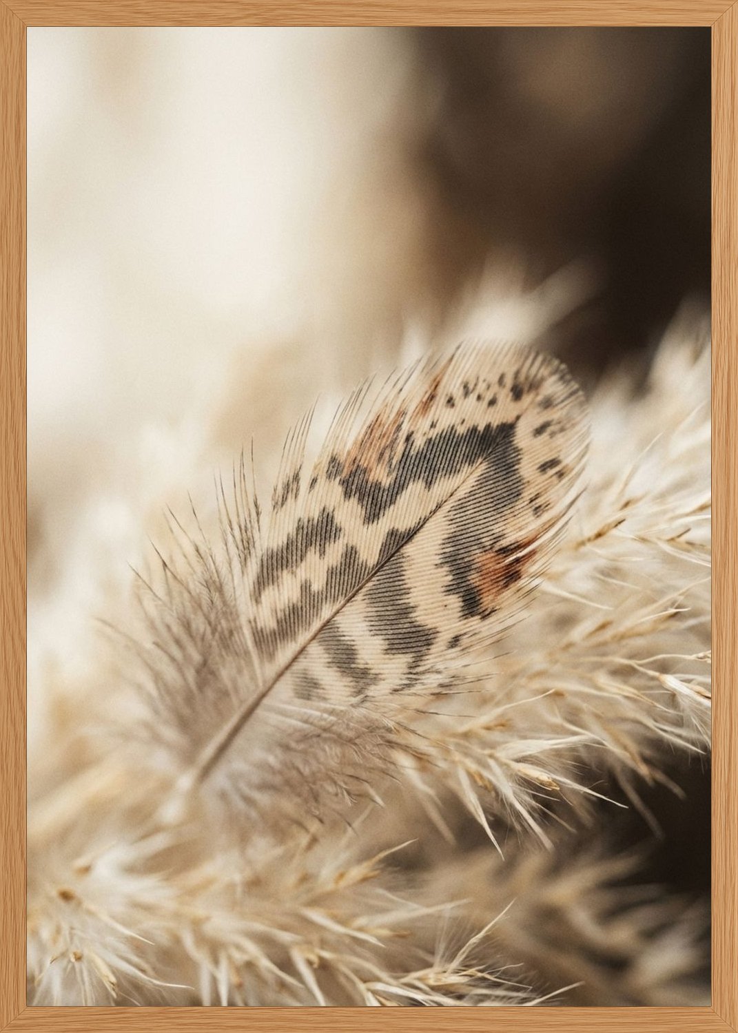 Poster in oak frame