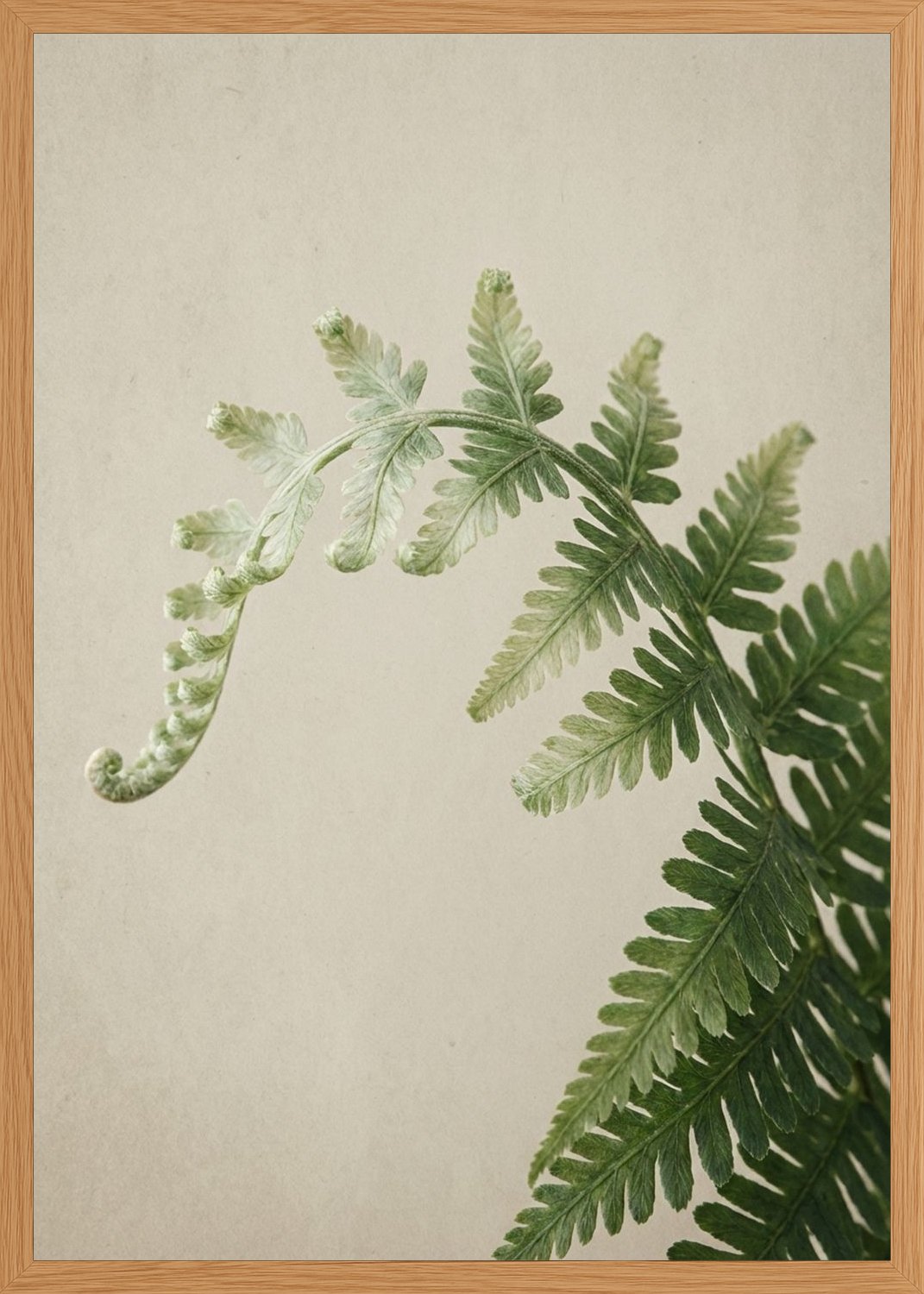Poster in oak frame