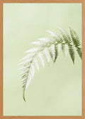 Poster in oak frame