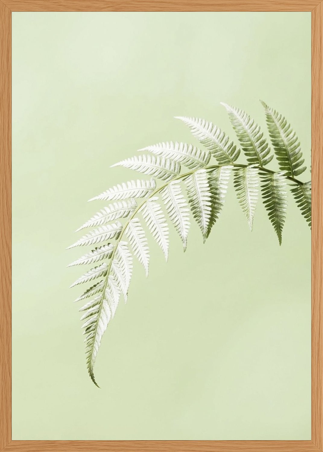 Poster in oak frame