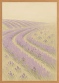 Poster in oak frame