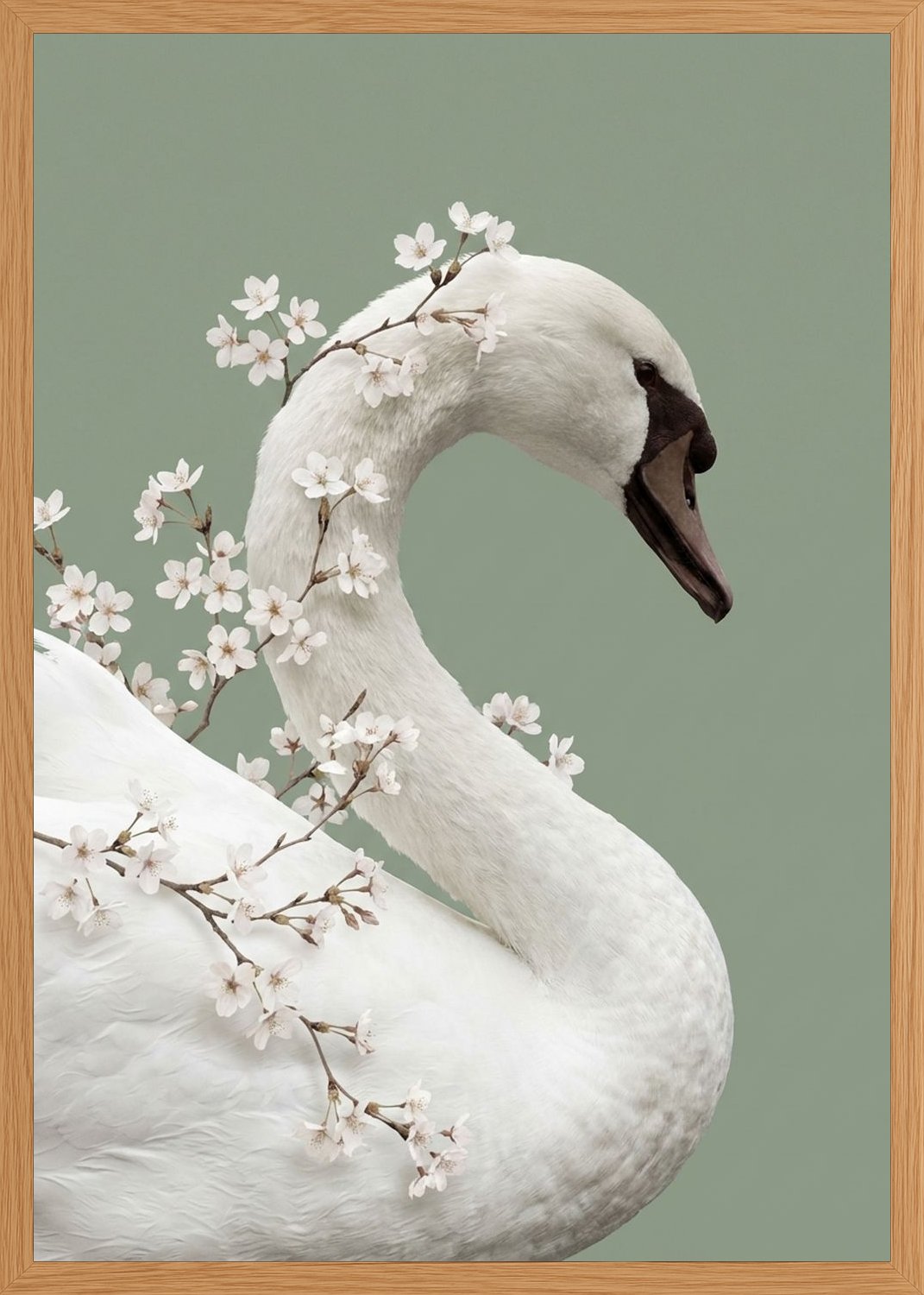 Poster in oak frame
