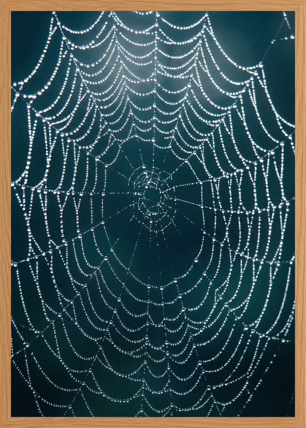 Poster in oak frame