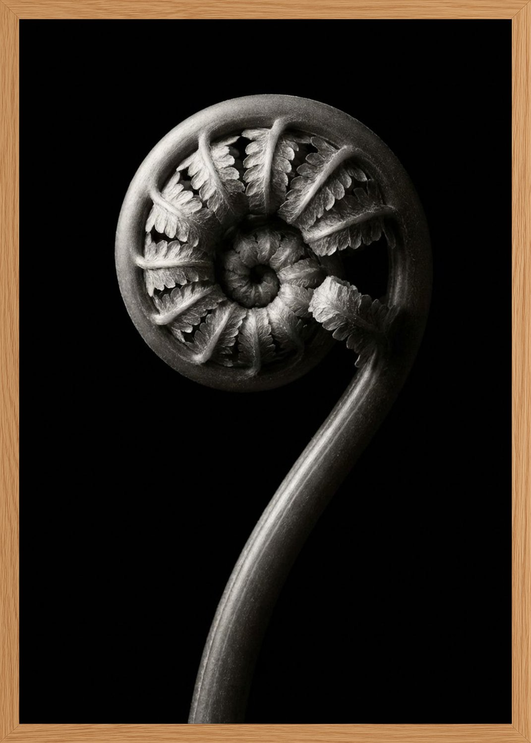 Poster in oak frame