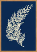 Poster in oak frame