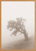 Poster in oak frame