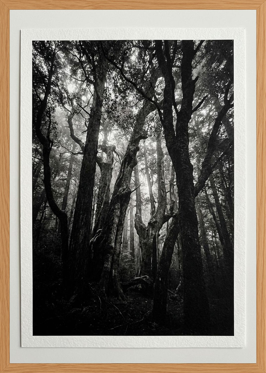 Poster in oak frame