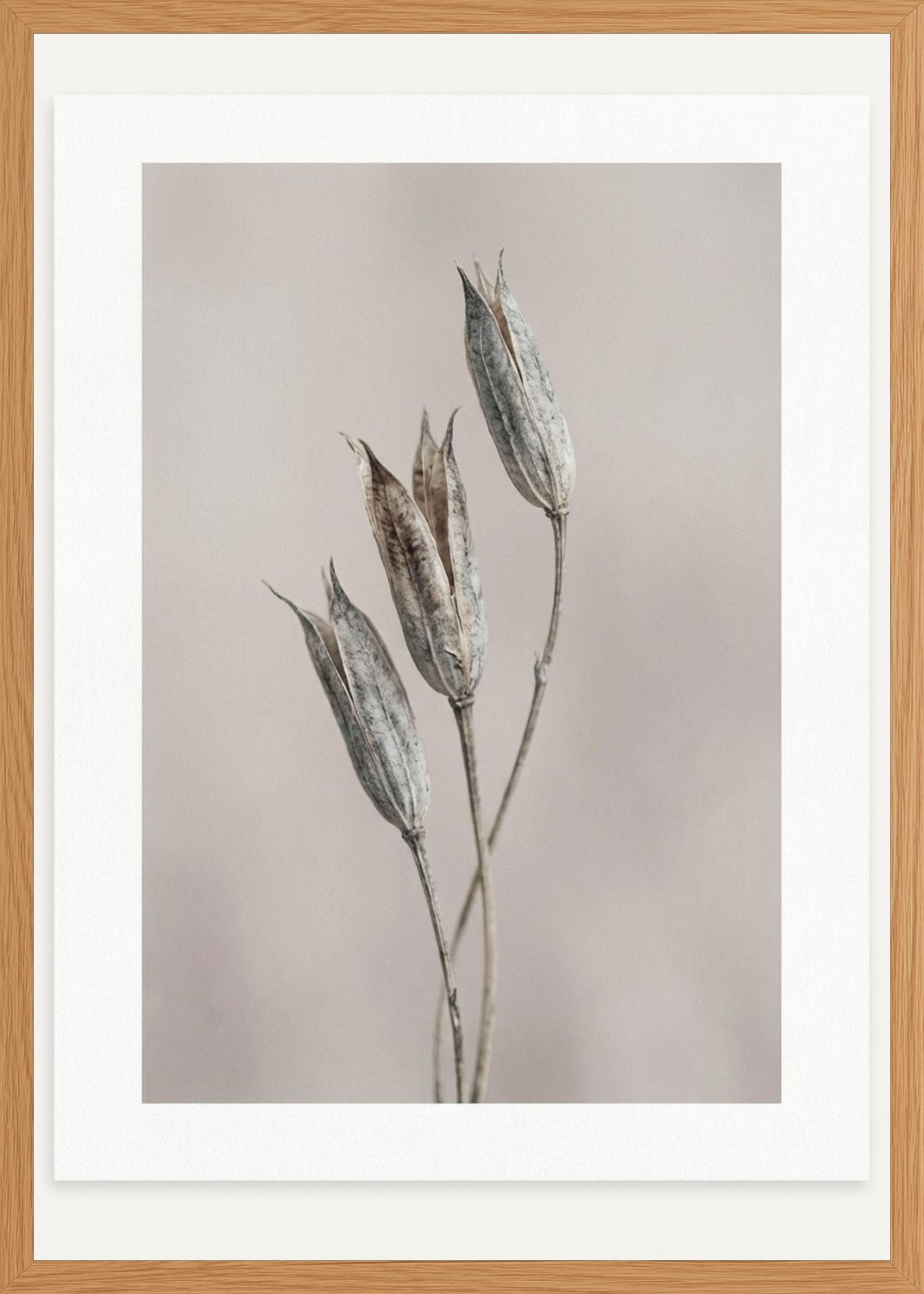 Poster in oak frame
