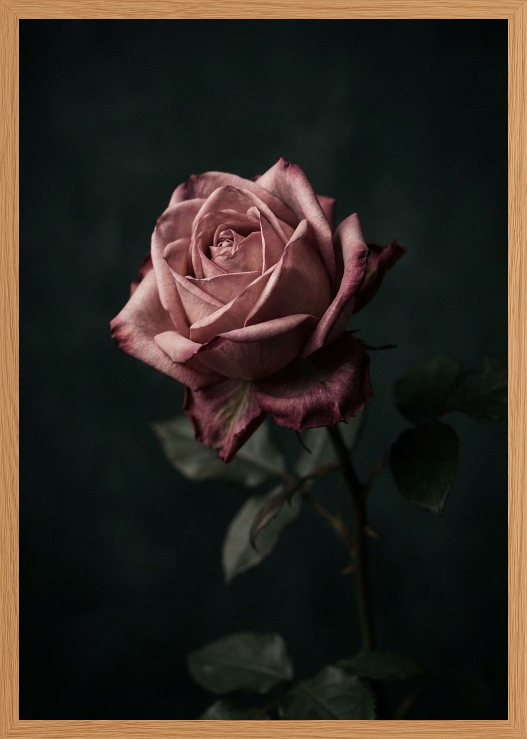 Poster in oak frame