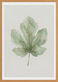 Poster in oak frame