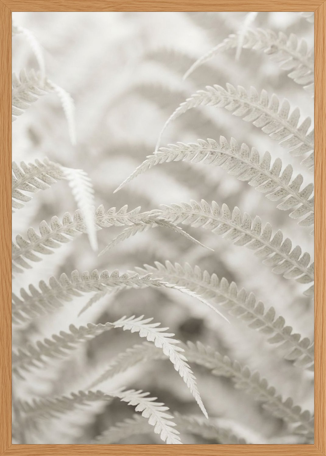 Poster in oak frame
