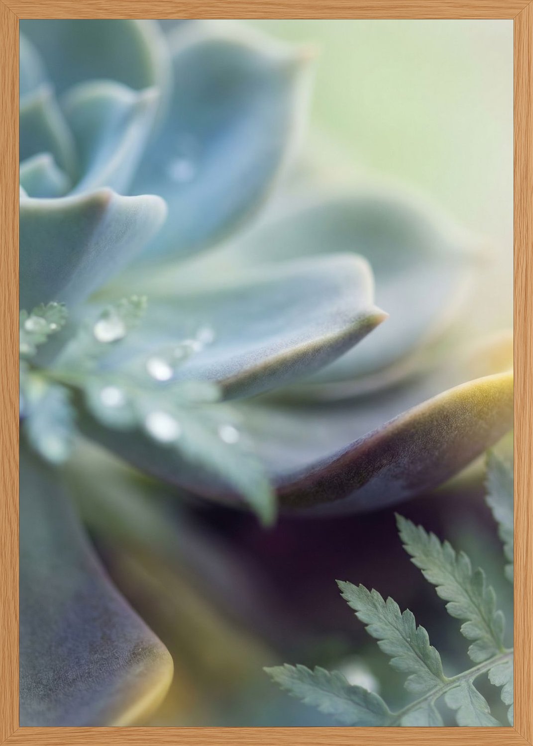Poster in oak frame