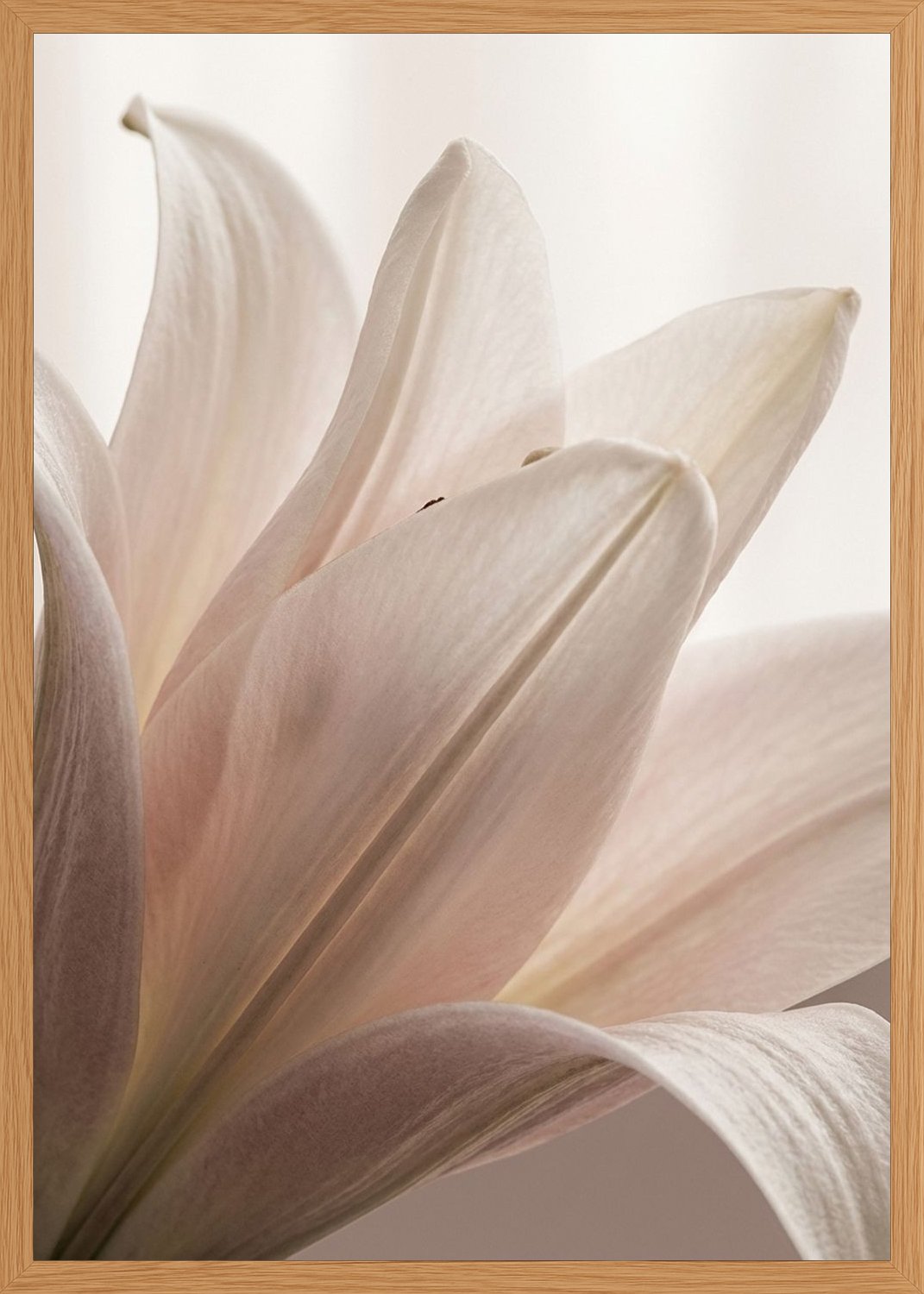 Poster in oak frame