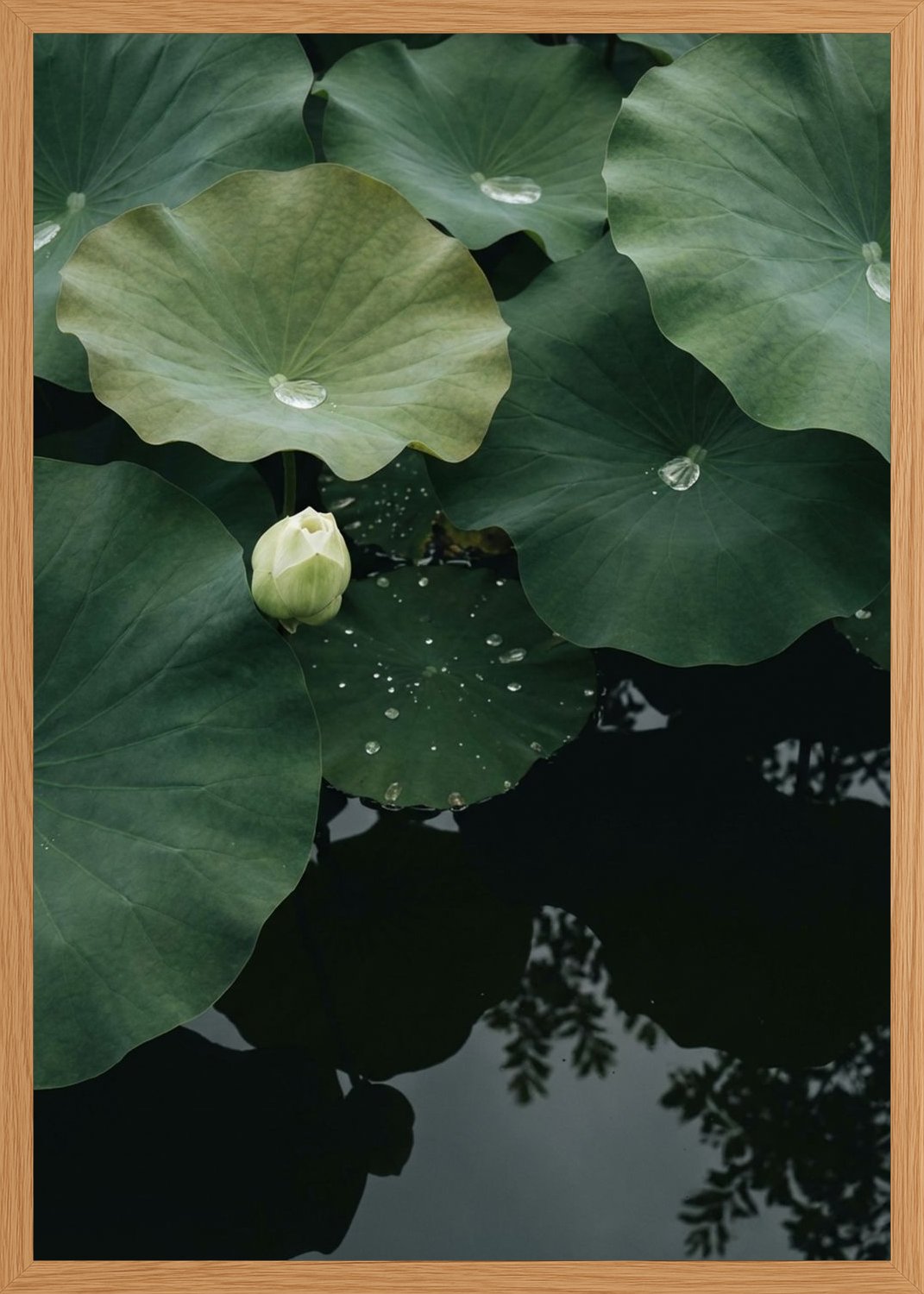 Poster in oak frame