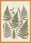 Poster in oak frame
