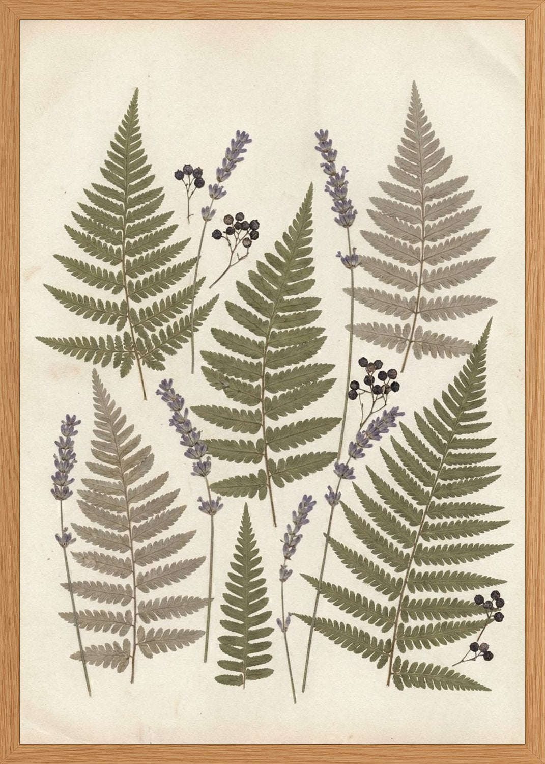 Poster in oak frame