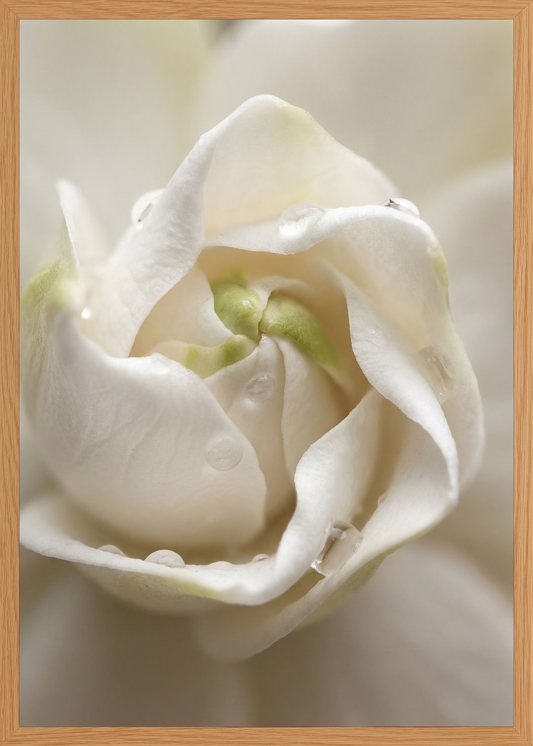 Poster print file