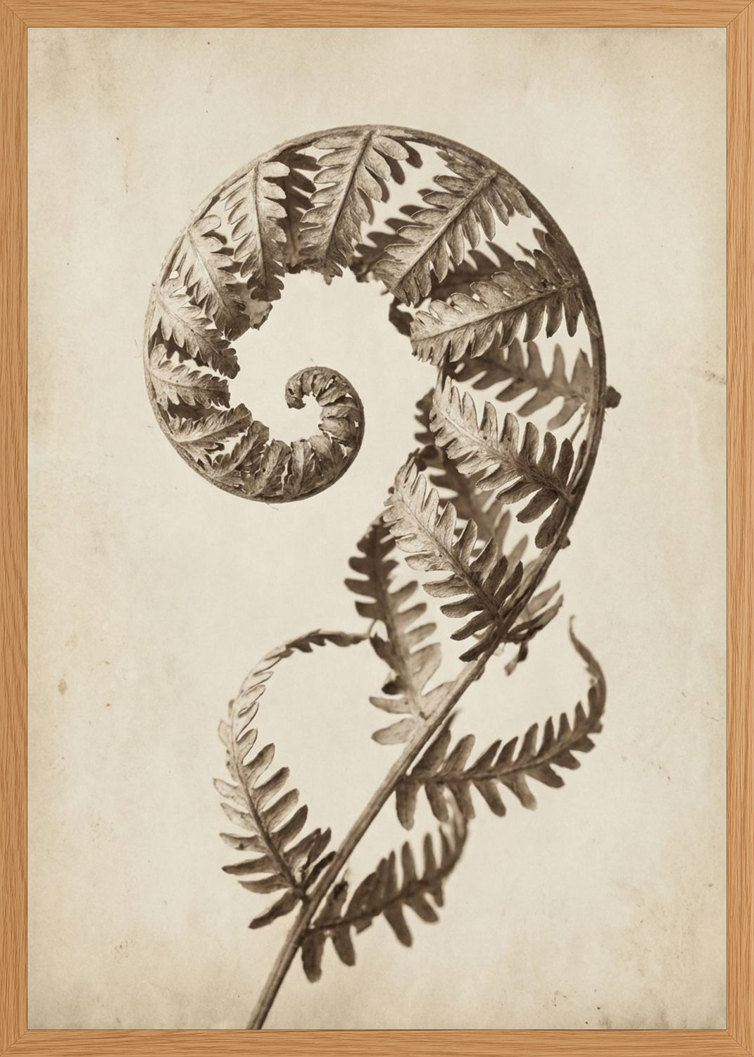 Poster in oak frame