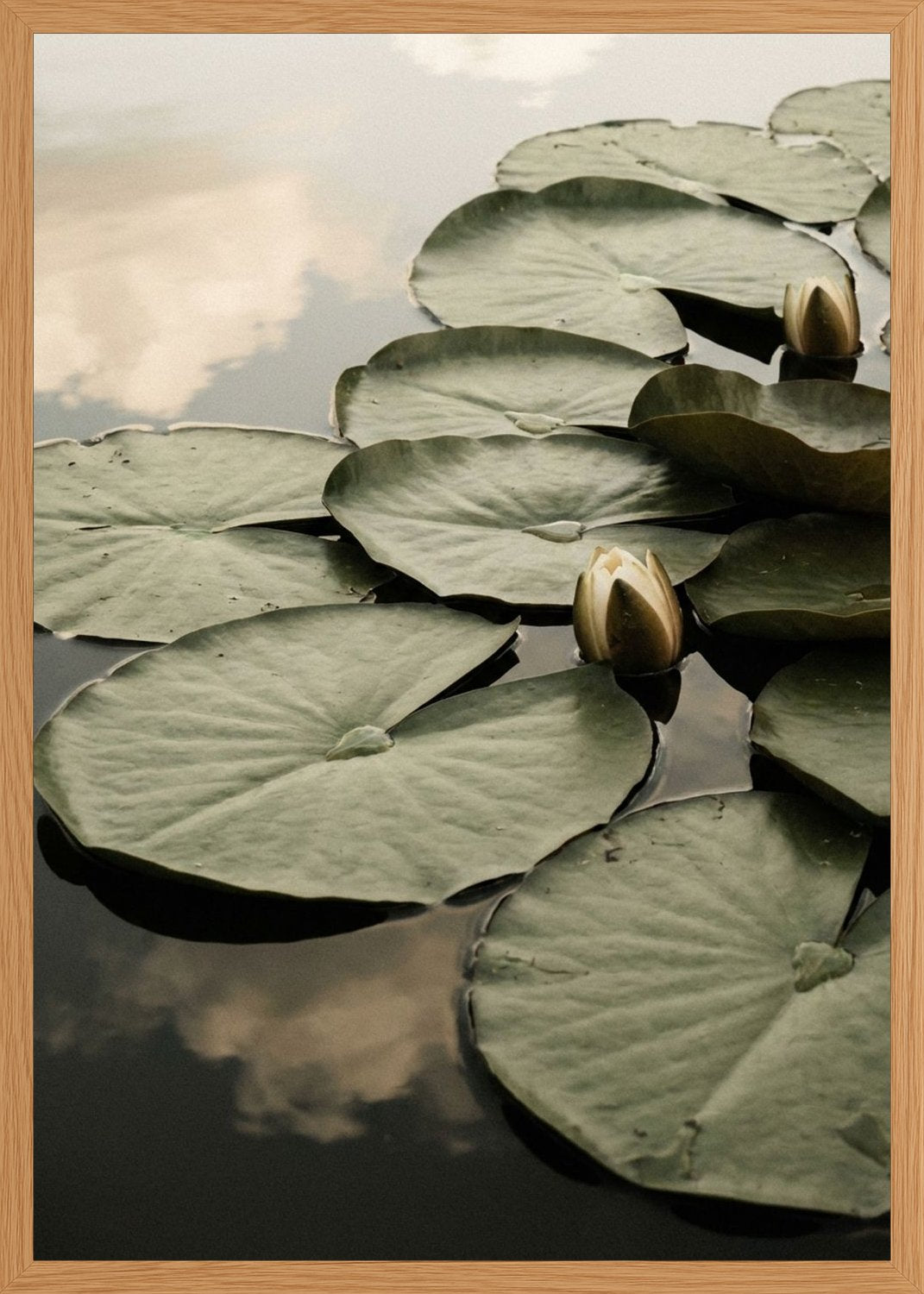 Poster in oak frame