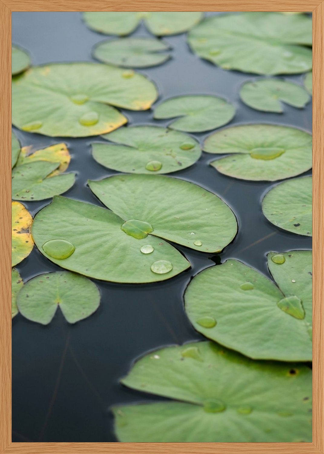 Poster in oak frame