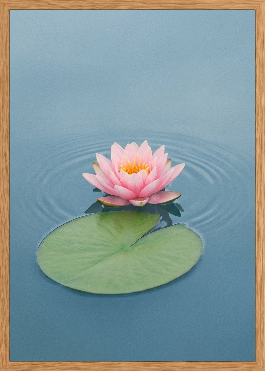 Poster in oak frame
