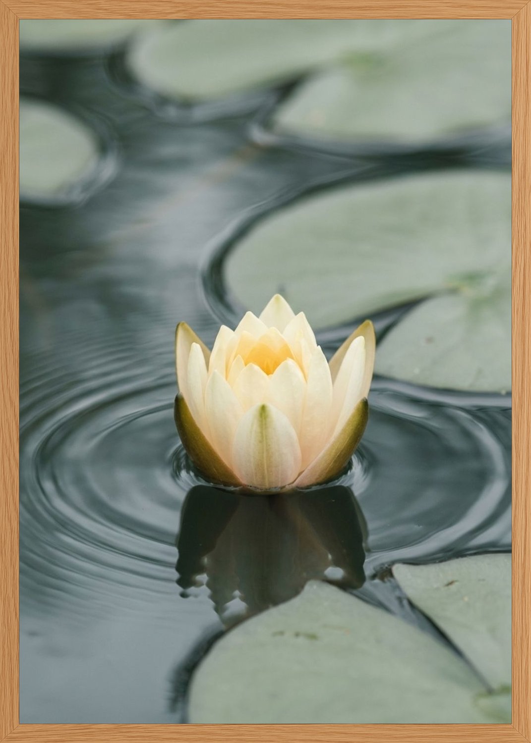 Poster in oak frame