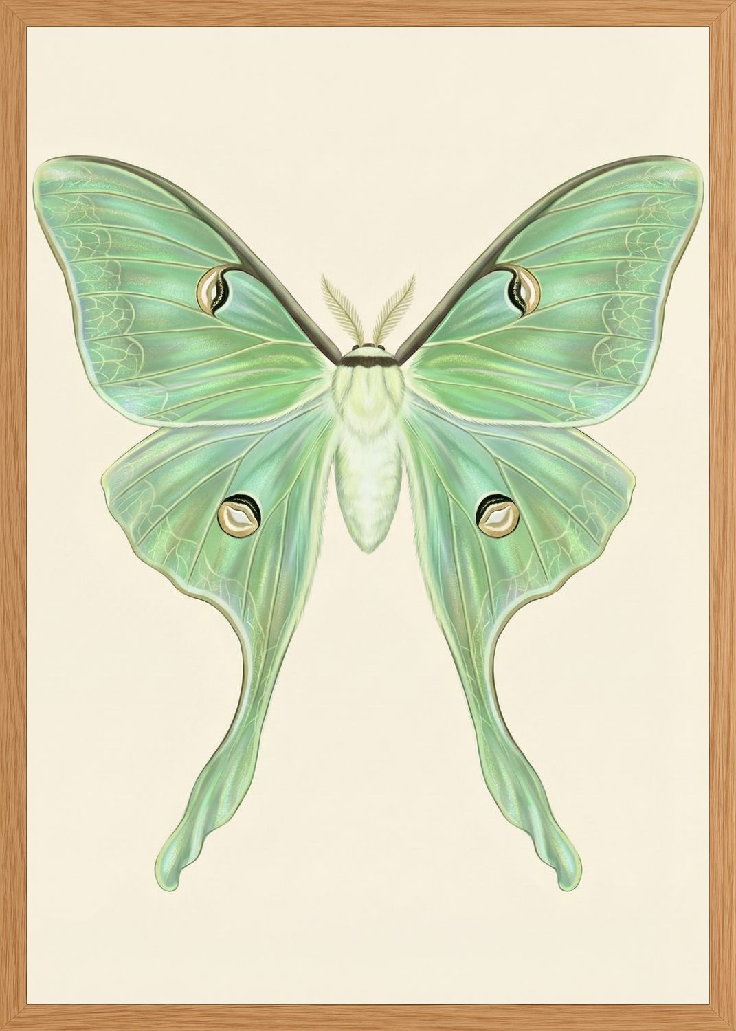 Poster in oak frame
