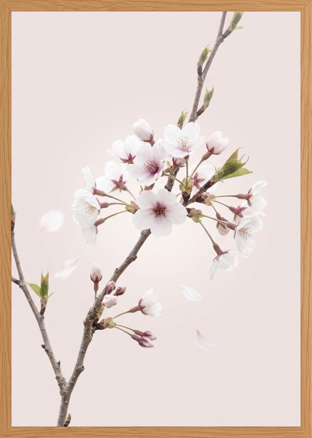 Poster in oak frame
