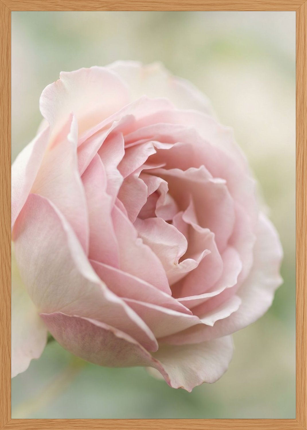 Poster in oak frame