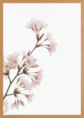 Poster in oak frame