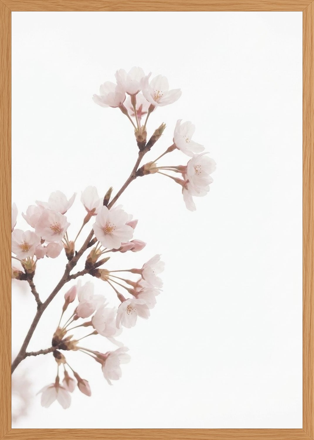 Poster in oak frame