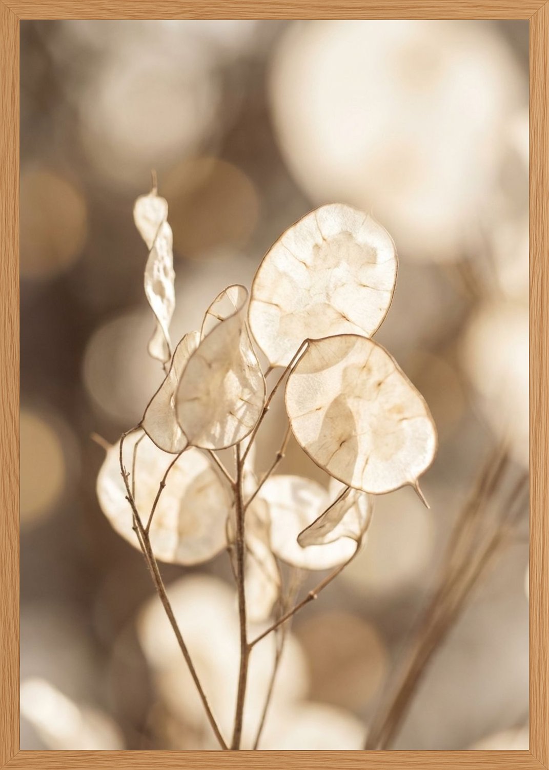 Poster in oak frame