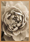 Poster print file