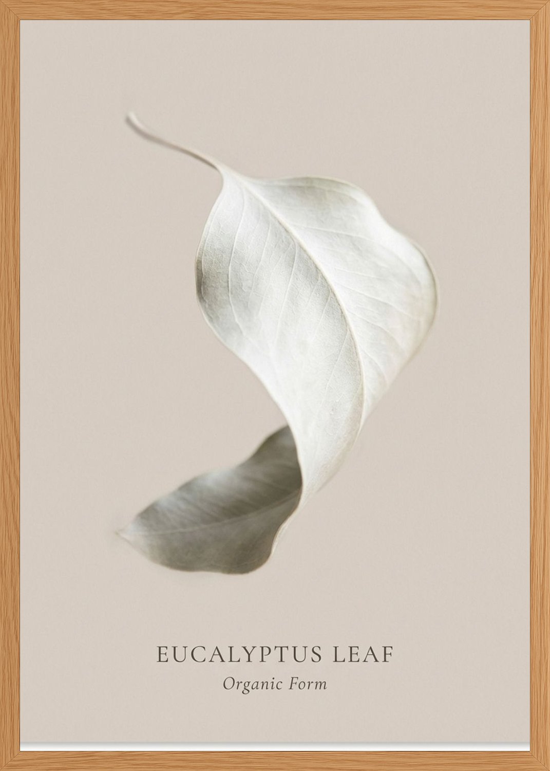 Poster in oak frame