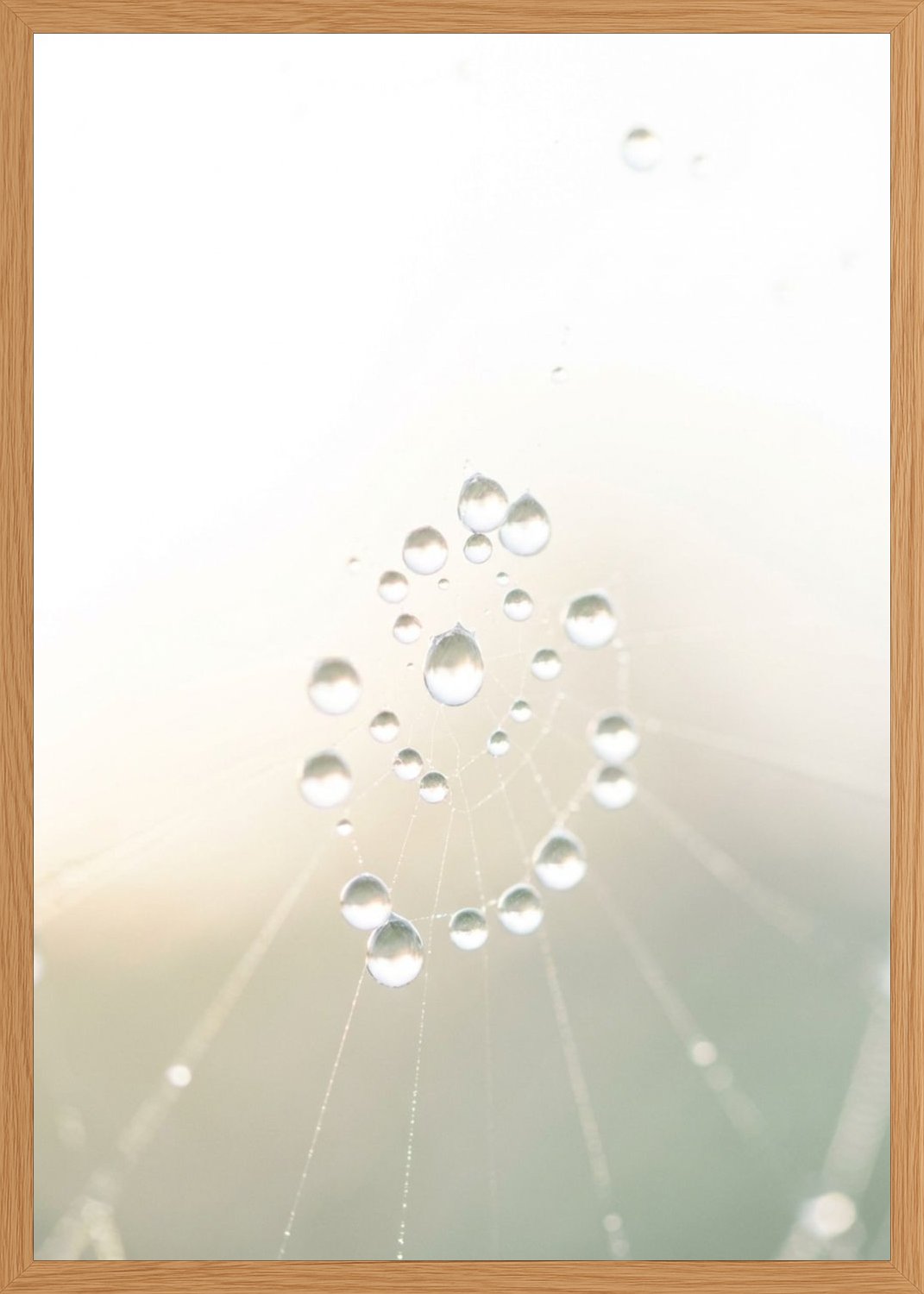 Poster in oak frame