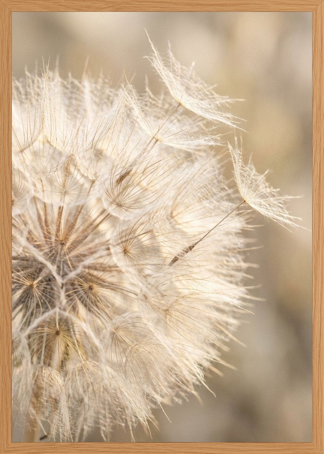 Poster in oak frame