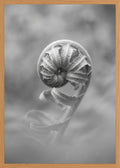 Poster print file