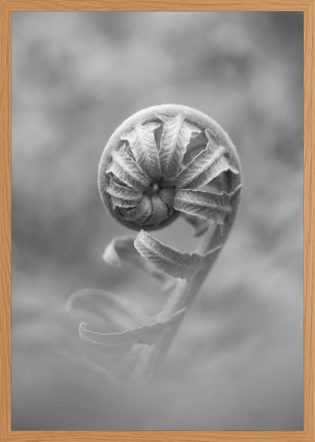 Poster print file