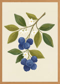 Poster in oak frame