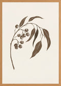 Poster in oak frame