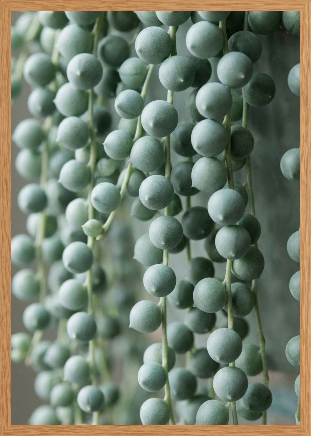 Poster in oak frame